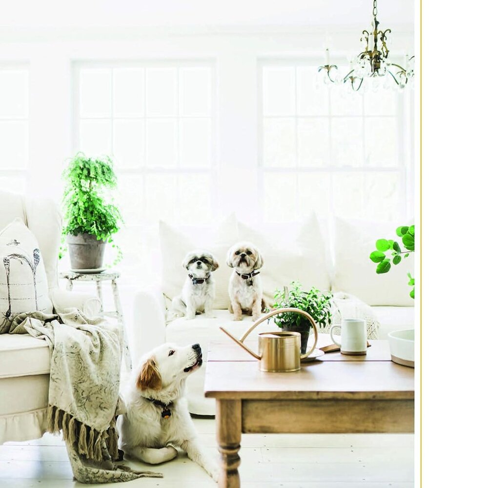 Cozy White Cottage: 100 Ways to Love the Feeling of Being Home - Picture 3 of 15
